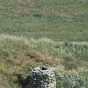 DayC - 123